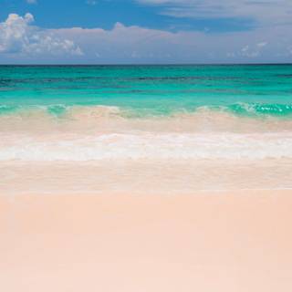 Pink beach desktop wallpaper