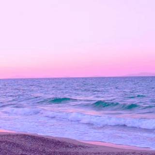 Pink beach desktop wallpaper