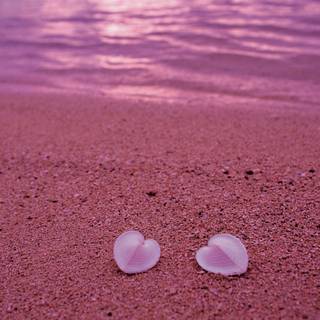 Pink beach desktop wallpaper