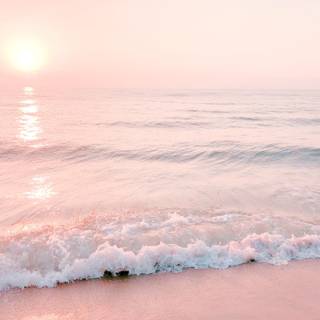 Pink beach desktop wallpaper