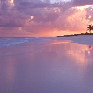 Pink beach desktop wallpaper