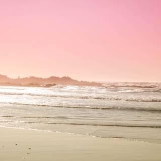 Pink beach desktop wallpaper