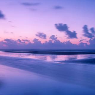 Pink beach desktop wallpaper