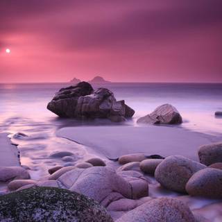 Pink beach desktop wallpaper