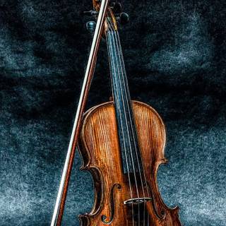 Violin mobile wallpaper