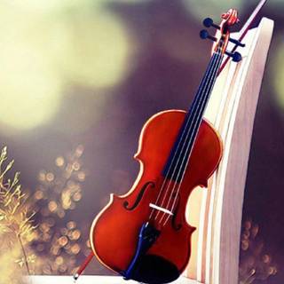Violin mobile wallpaper