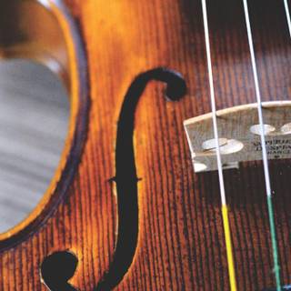 Violin mobile wallpaper