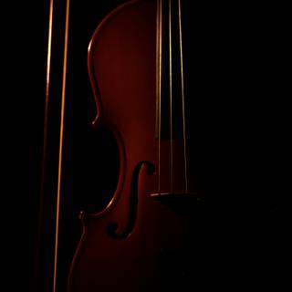 Violin mobile wallpaper