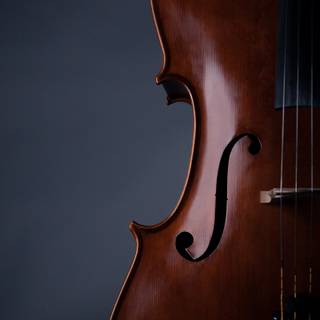 Violin desktop wallpaper
