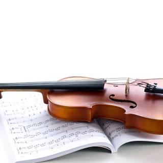 Violin desktop wallpaper