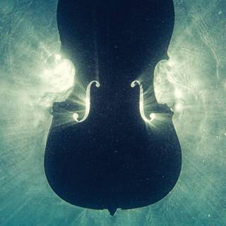 Violin mobile wallpaper