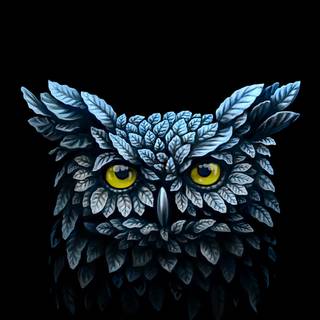 Owl mobile wallpaper