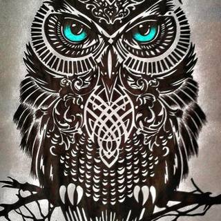 Owl mobile wallpaper