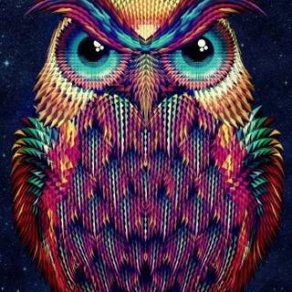 Owl mobile wallpaper