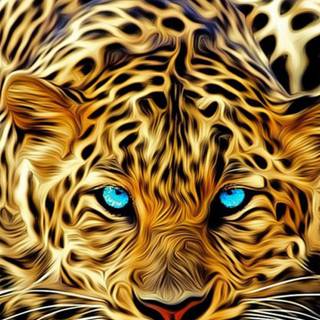 Leopard mobile wallpaper