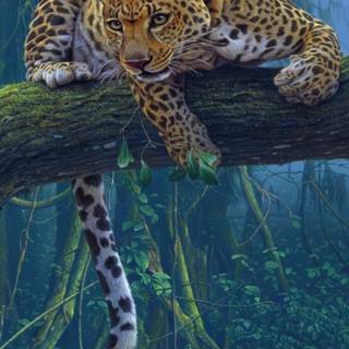 Leopard mobile wallpaper
