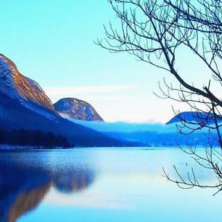 Scenary mobile wallpaper