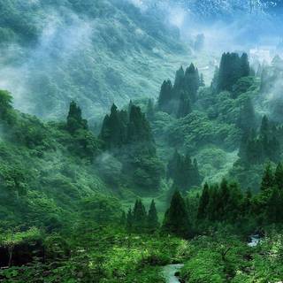 Scenary mobile wallpaper