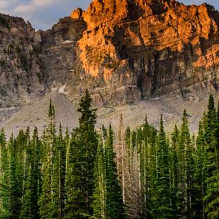 Scenary mobile wallpaper