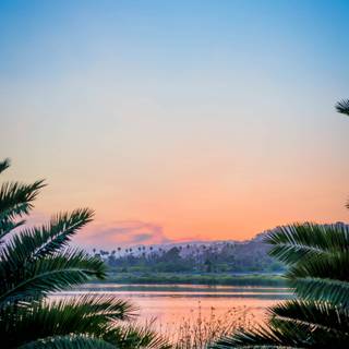 Scenary mobile wallpaper