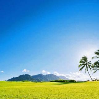 Scenary mobile wallpaper