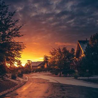 Scenary mobile wallpaper