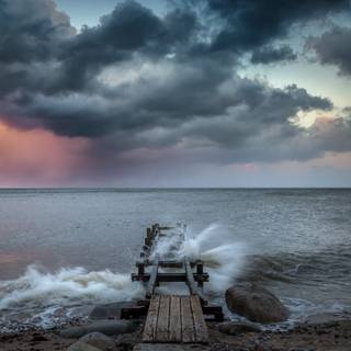 2560x1664 summer wallpaper