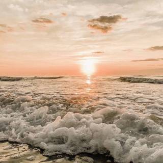 Summer aesthetic PFP wallpaper