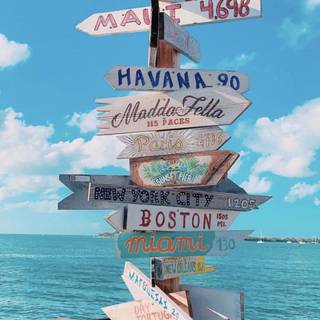 Summer aesthetic PFP wallpaper