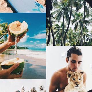 Summer aesthetic PFP wallpaper