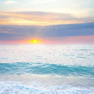 Summer aesthetic PFP wallpaper