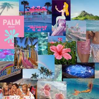Summer aesthetic PFP wallpaper