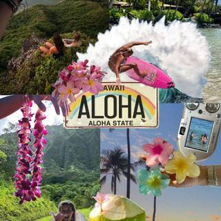 Summer aesthetic PFP wallpaper