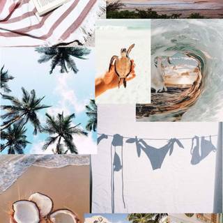 Summer aesthetic PFP wallpaper