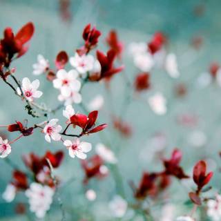 Cute spring floral wallpaper