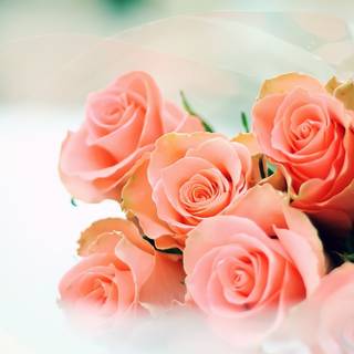 Cute spring floral wallpaper