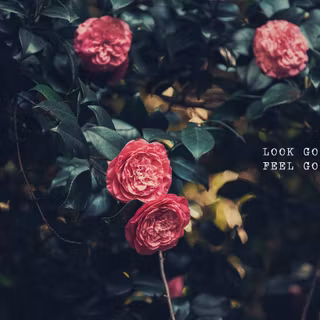 Dark spring desktop wallpaper