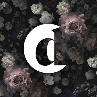 Dark spring desktop wallpaper