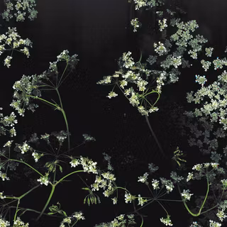 Dark spring desktop wallpaper