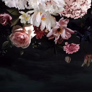 Dark spring desktop wallpaper