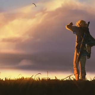 Zelda ultrawide wallpaper