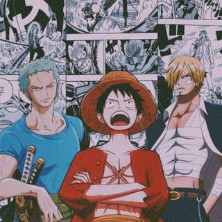Zoro Luffy and Sanji wallpaper