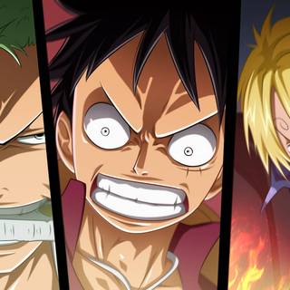 Zoro Luffy and Sanji wallpaper