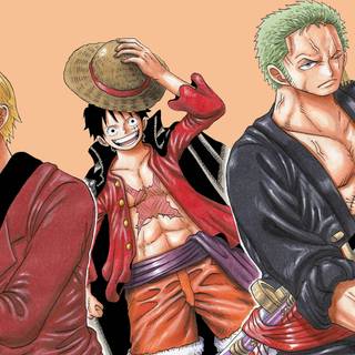 Zoro Luffy and Sanji wallpaper