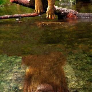 Movies iPhone 11 wallpaper