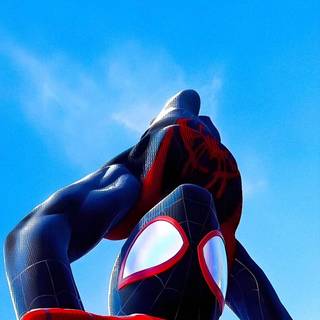 Movies iPhone 11 wallpaper