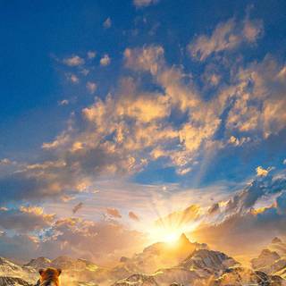 Movies iPhone 11 wallpaper