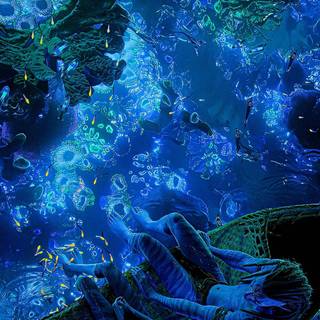 Movies iPhone 11 wallpaper