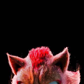 Movies iPhone 11 wallpaper