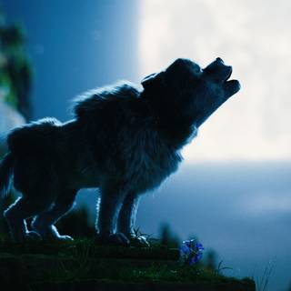 Movies iPhone 11 wallpaper